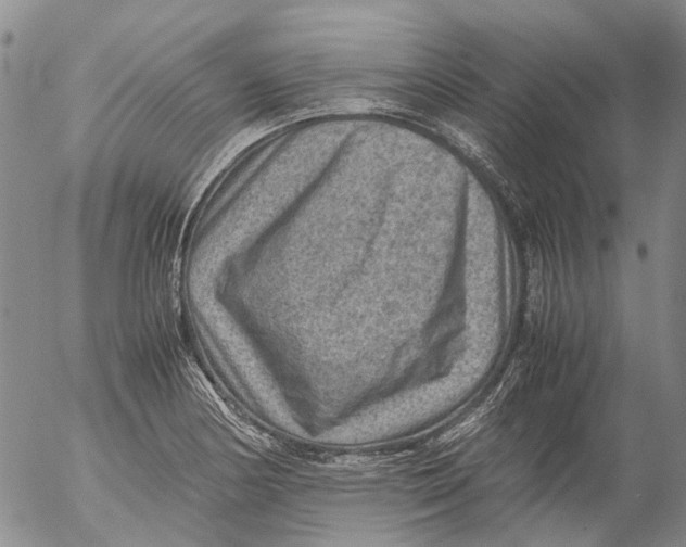 X0000053051178200508011840