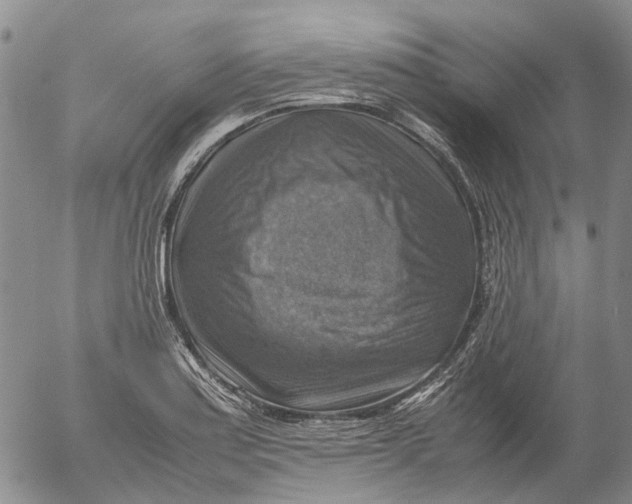 X0000053051179200508011840