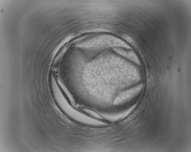 X0000053051181200508011840