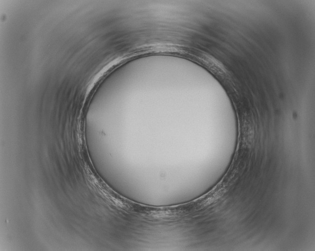 X0000053051182200508011840