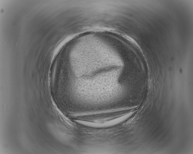 X0000053051183200508011840