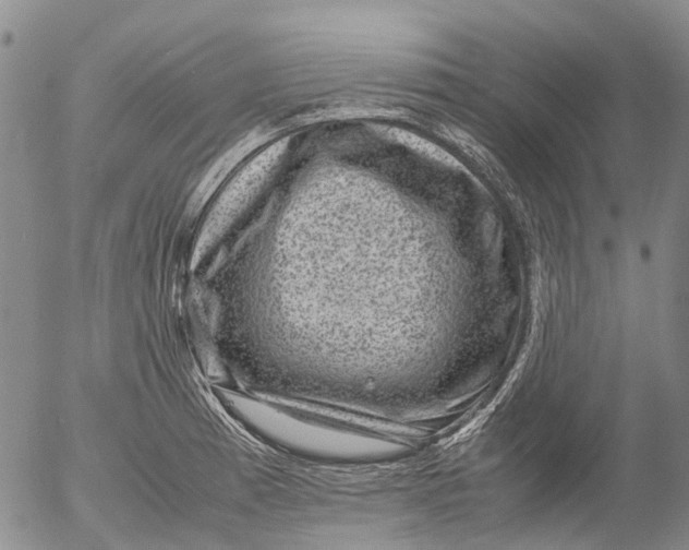 X0000053051185200508011840