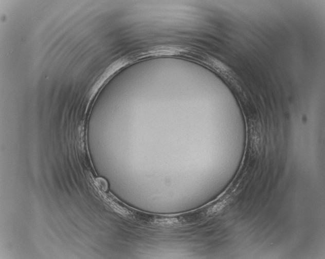 X0000053051186200508011840