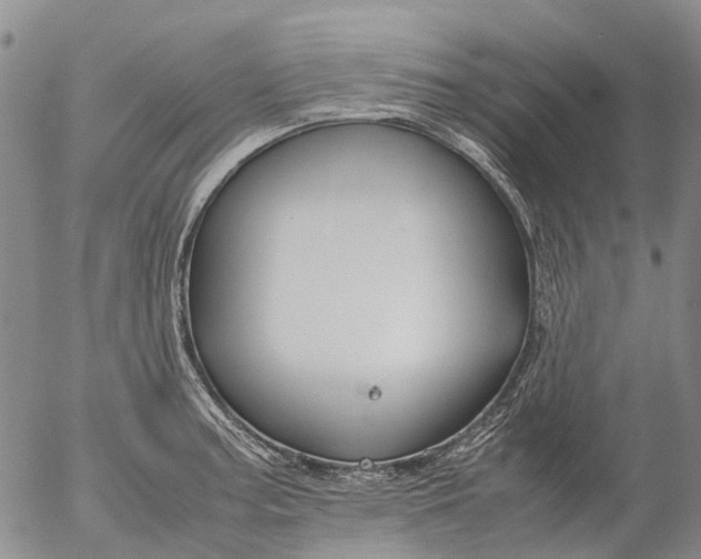 X0000053051187200508011840