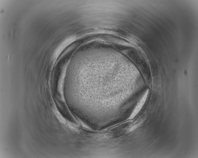 X0000053051189200508011840