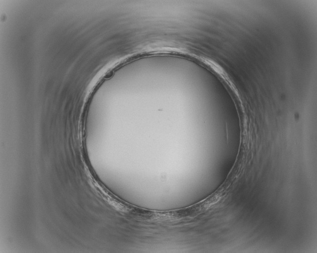 X0000053051191200508011840