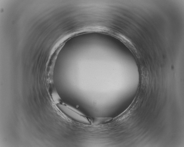 X0000053051192200508011840