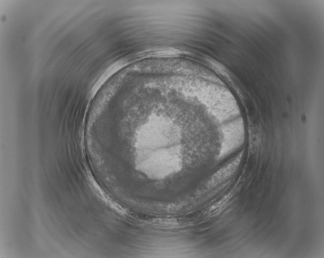 X0000053051194200508011840