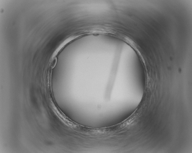 X0000053051195200508011840