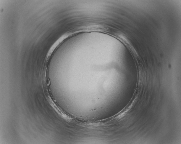 X0000053051196200508011840