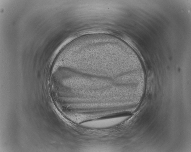 X0000053051197200508011840