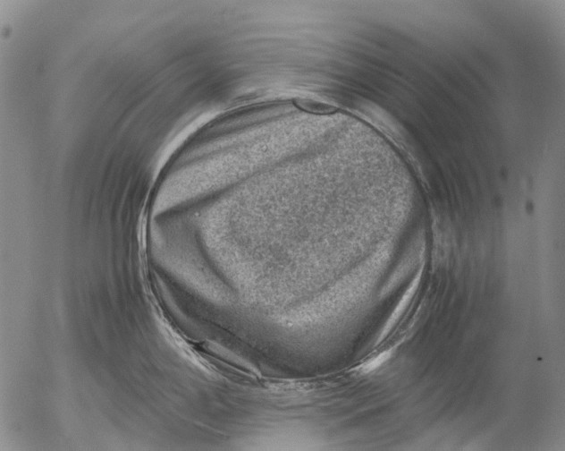 X0000053051198200508011840