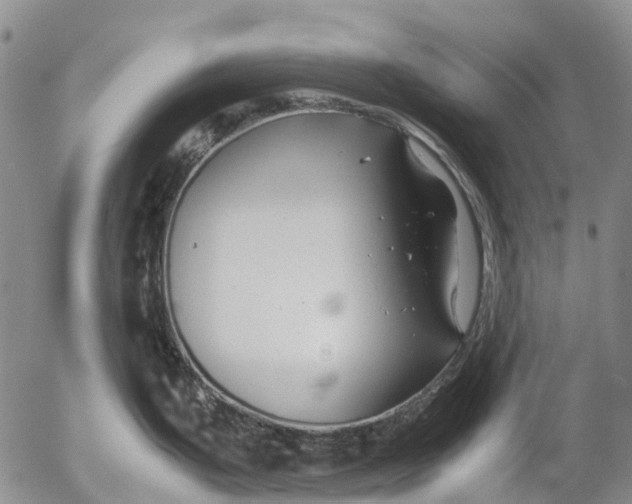 X0000053051199200508011840