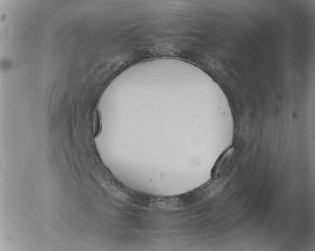 X0000053051201200508011839