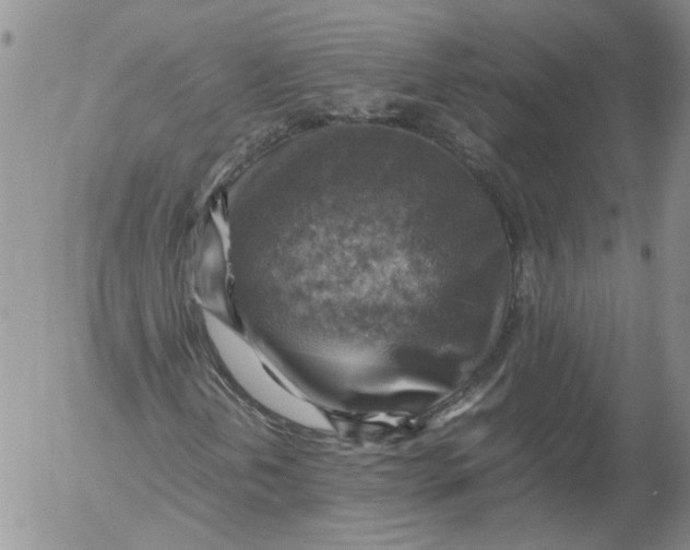 X0000053051202200508011839