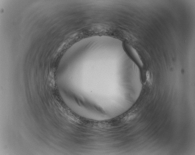 X0000053051203200508011839