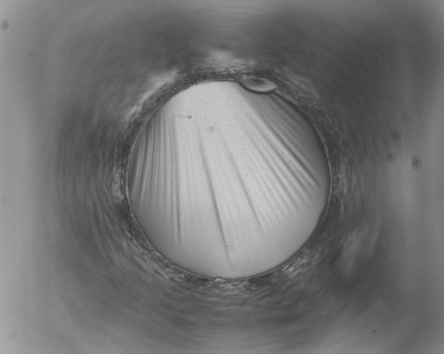 X0000053051205200508011839