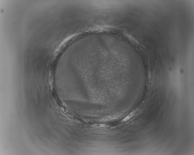 X0000053051206200508011839