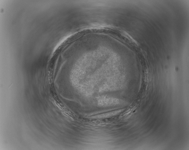 X0000053051208200508011839