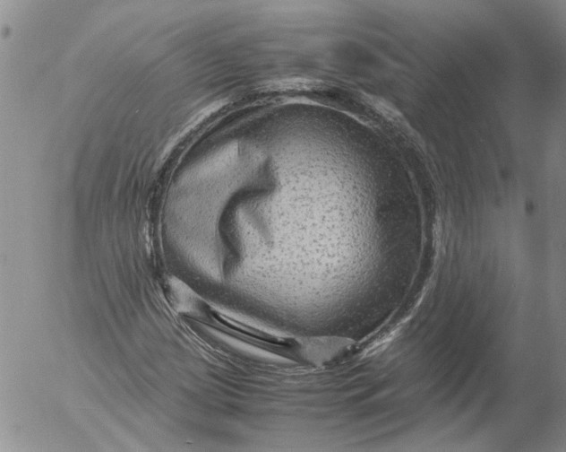 X0000053051209200508011839