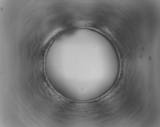 X0000053051211200508011839