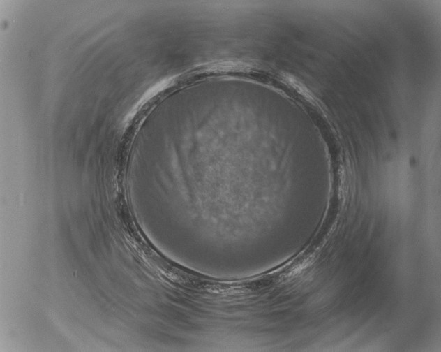 X0000053051213200508011839