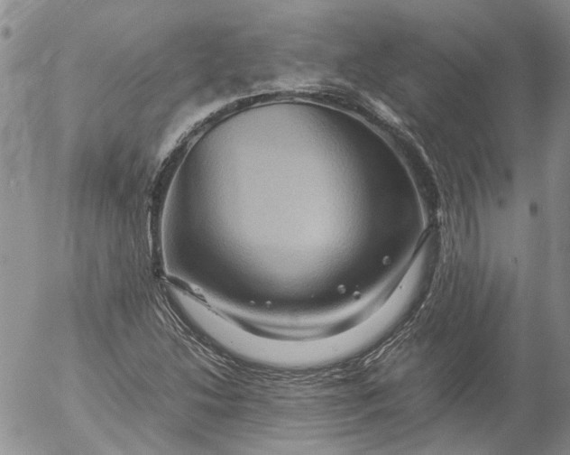 X0000053051214200508011839