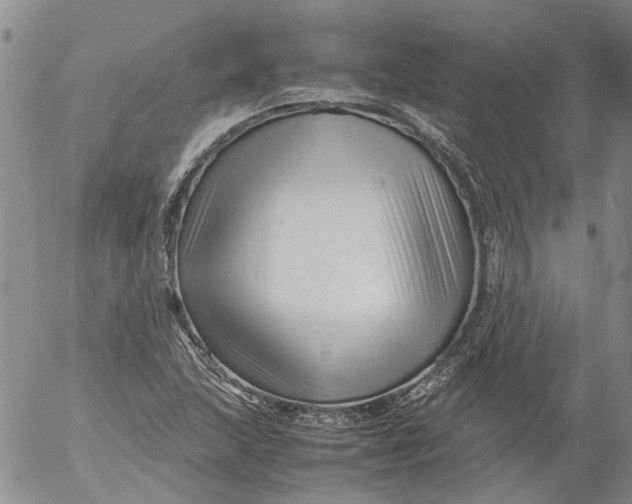 X0000053051215200508011839