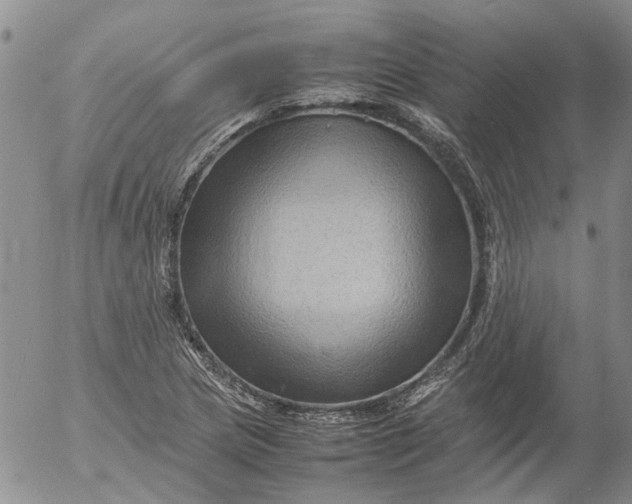 X0000053051217200508011839