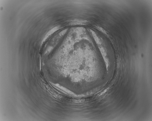 X0000053051219200508011839