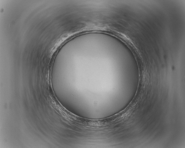 X0000053051220200508011839