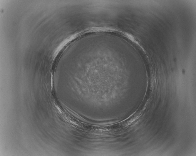 X0000053051221200508011839