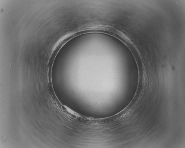 X0000053051222200508011839