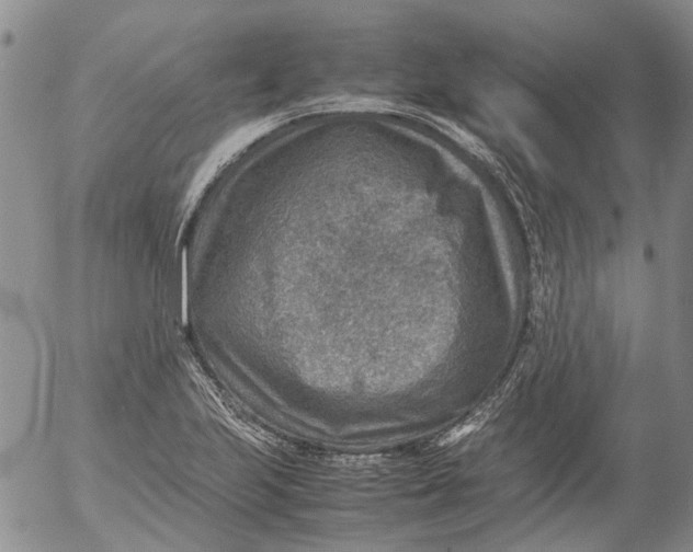 X0000053051223200508011839