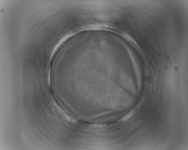 X0000053051224200508011839