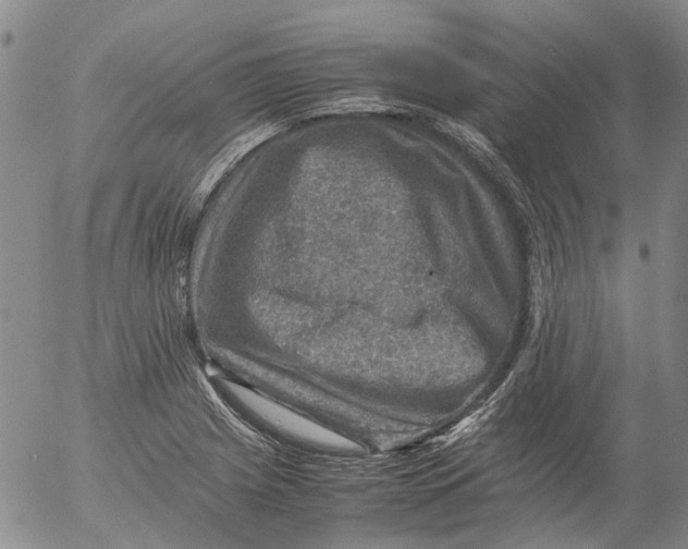 X0000053051225200508011839