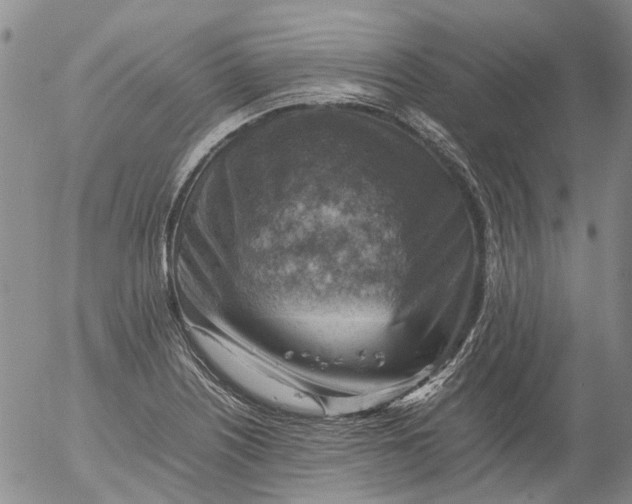 X0000053051226200508011839