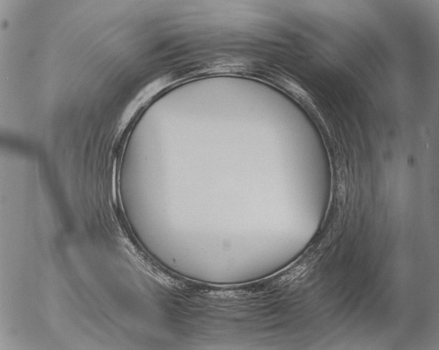 X0000053051227200508011839