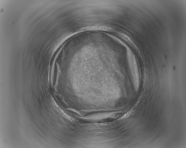 X0000053051228200508011839