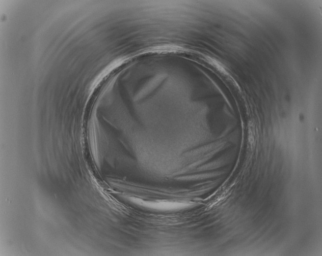 X0000053051229200508011839