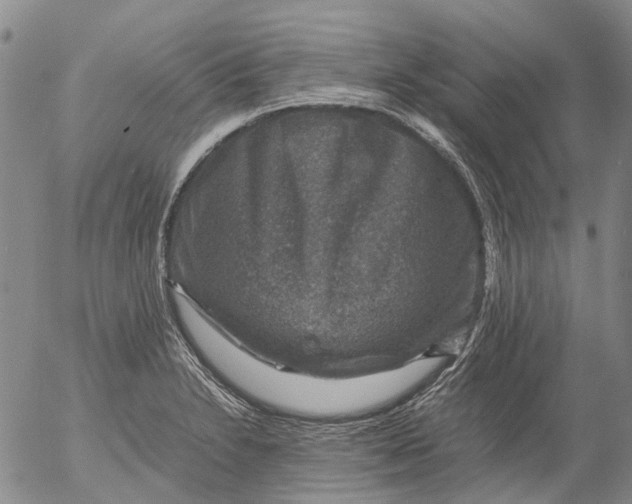 X0000053051230200508011839