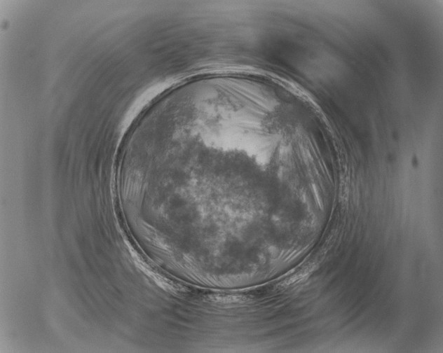 X0000053051231200508011839