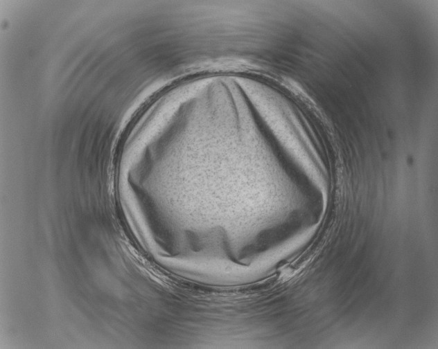 X0000053051232200508011839