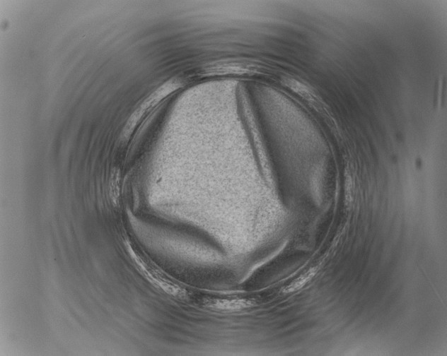 X0000053051233200508011839