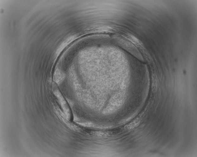 X0000053051234200508011839