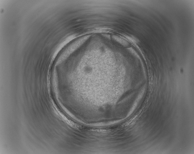 X0000053051235200508011839