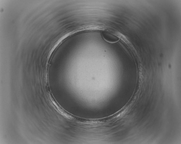 X0000053051236200508011839