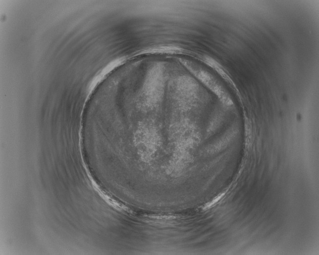 X0000053051237200508011839