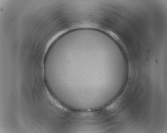 X0000053051238200508011839