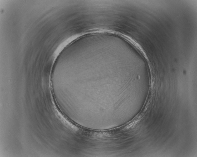 X0000053051239200508011839